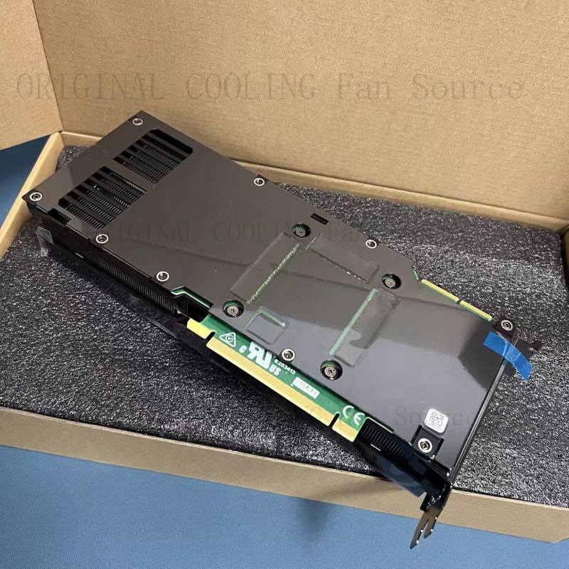 R+ PER schede grafiche Dell NV - Graphics Card 24Gb Gddr6X recensione e prezzo